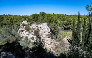 68dedbe1df1b9_DSC0339.jpg