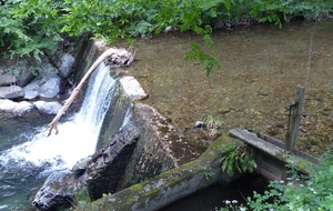 6a21ac6f9741e_P1230085.JPG