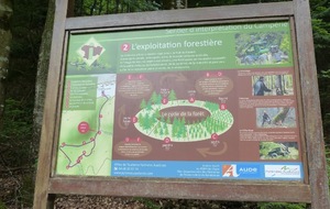 6a21ac70906ac_P1230097.JPG