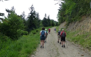 6a21ac7125aeb_P1230101.JPG