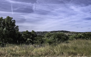 6a2b039c7f9b9_DSC2756.jpg